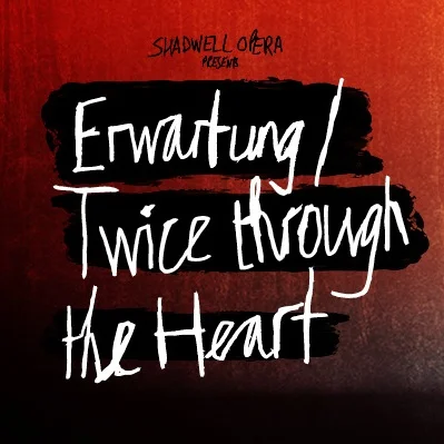Twice Through the Heart.jpg