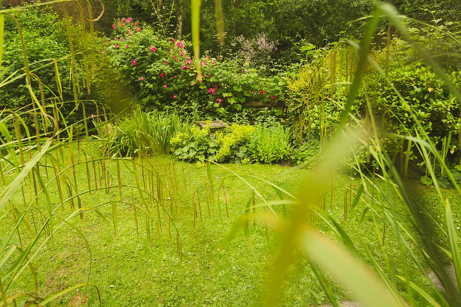 north-wales-photographer