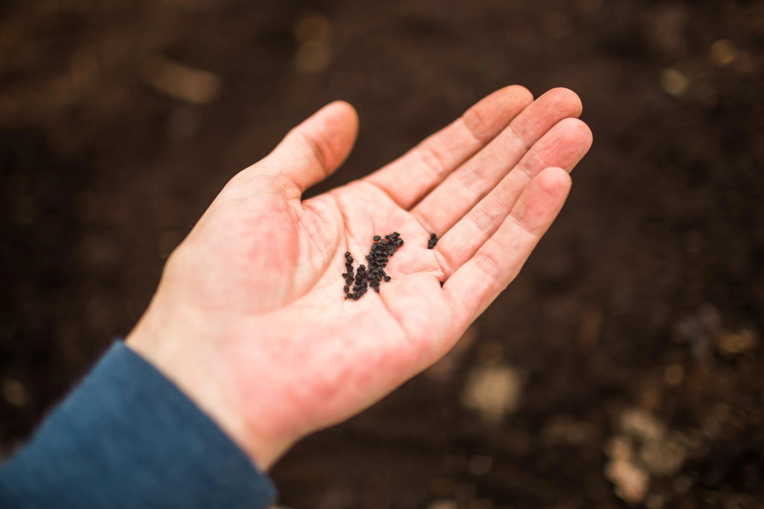 commercial_garden_photographer