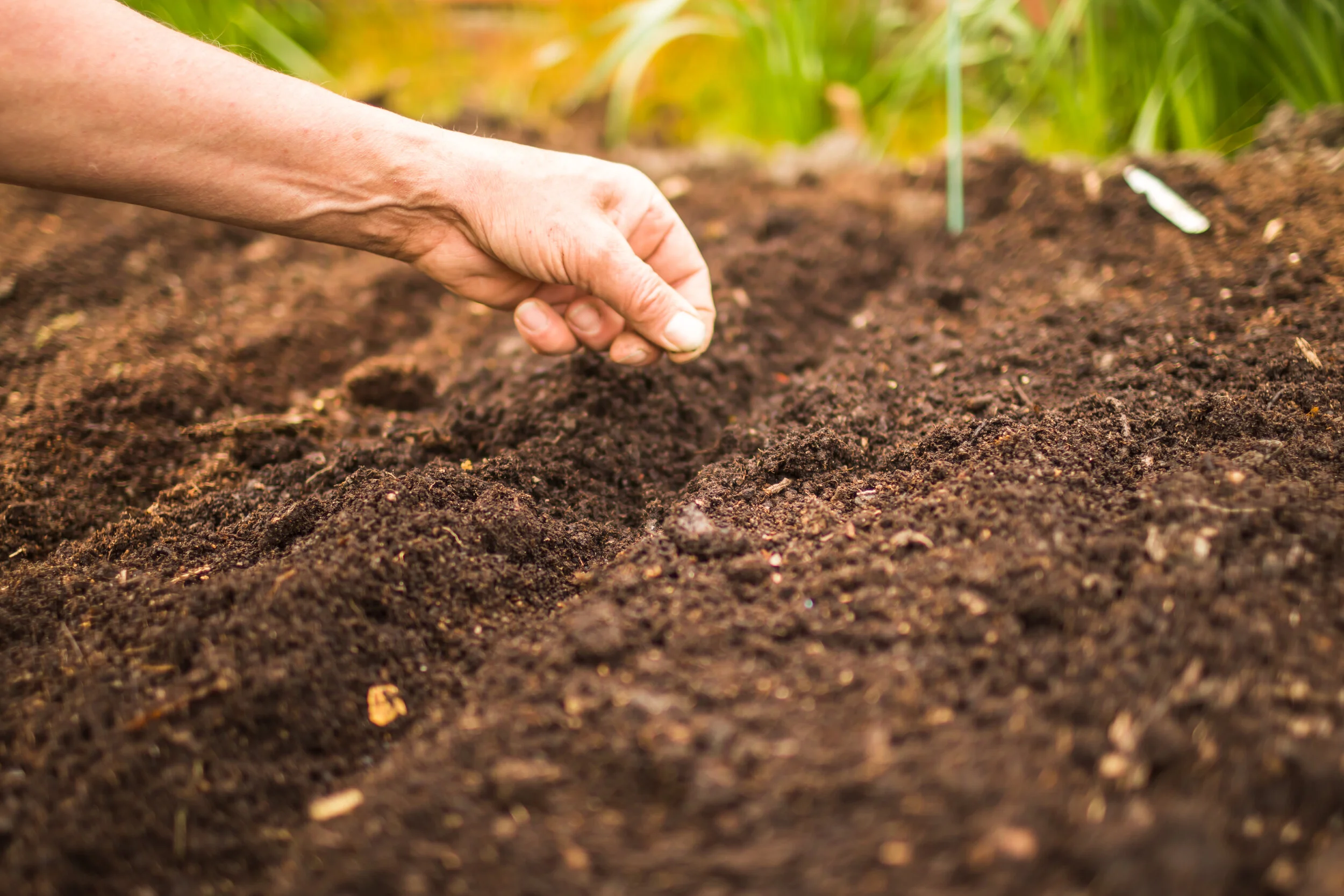 commercial_garden_photographer