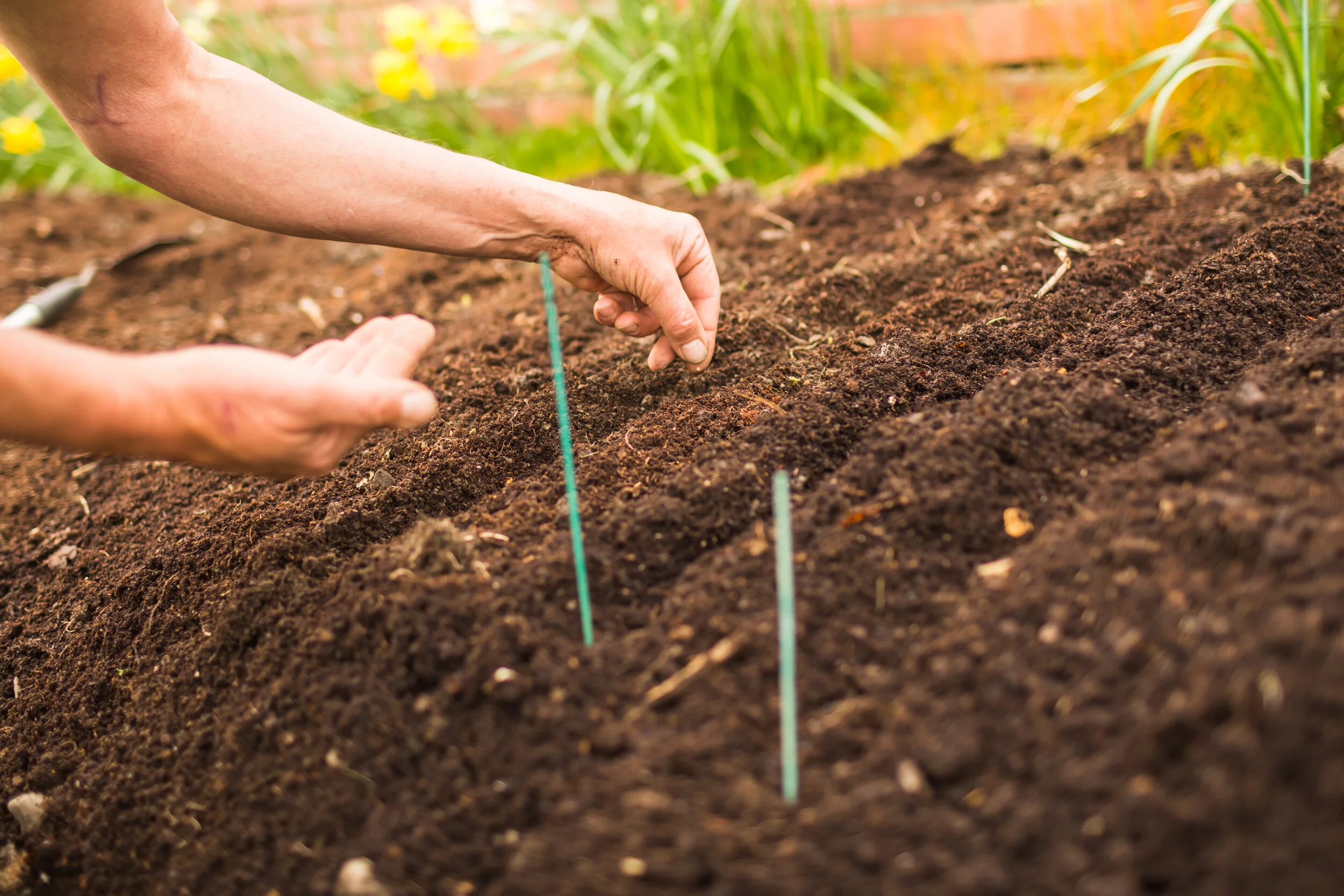 commercial_garden_photographer