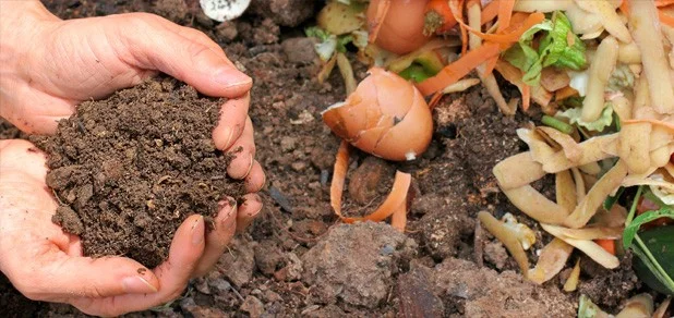 foto: portal do biogás