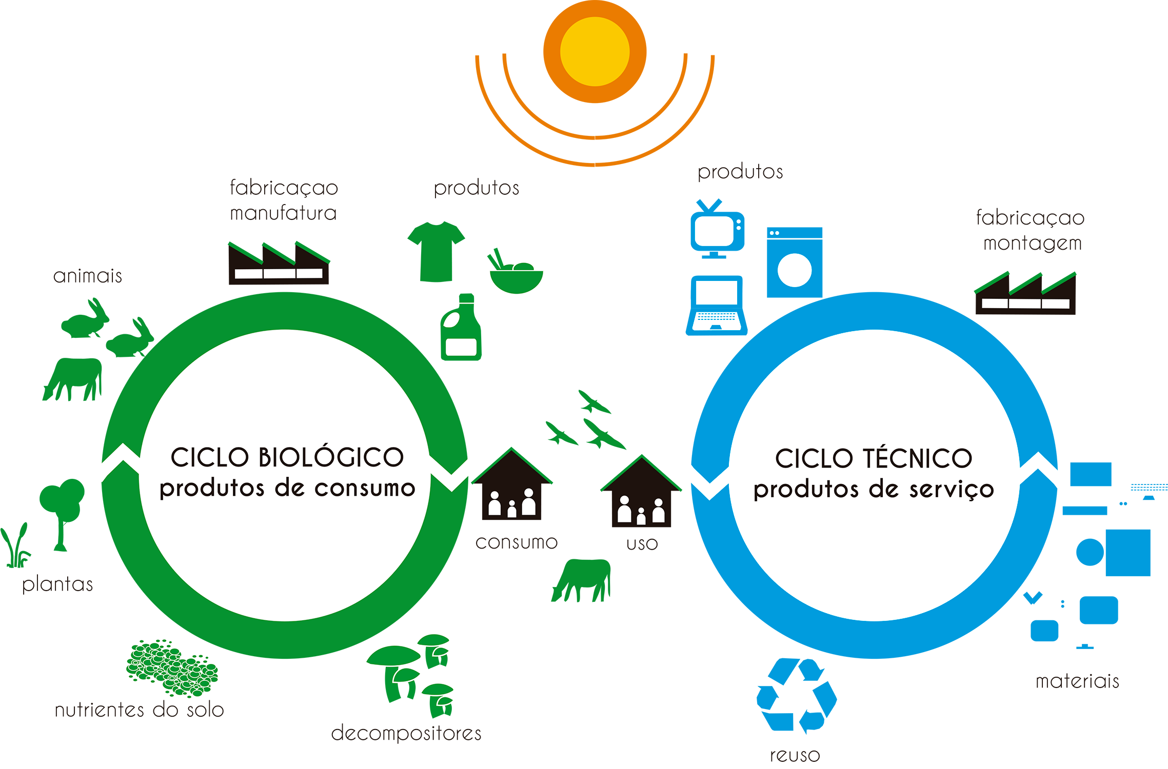 ciclos-bio-tecnico_menor.png