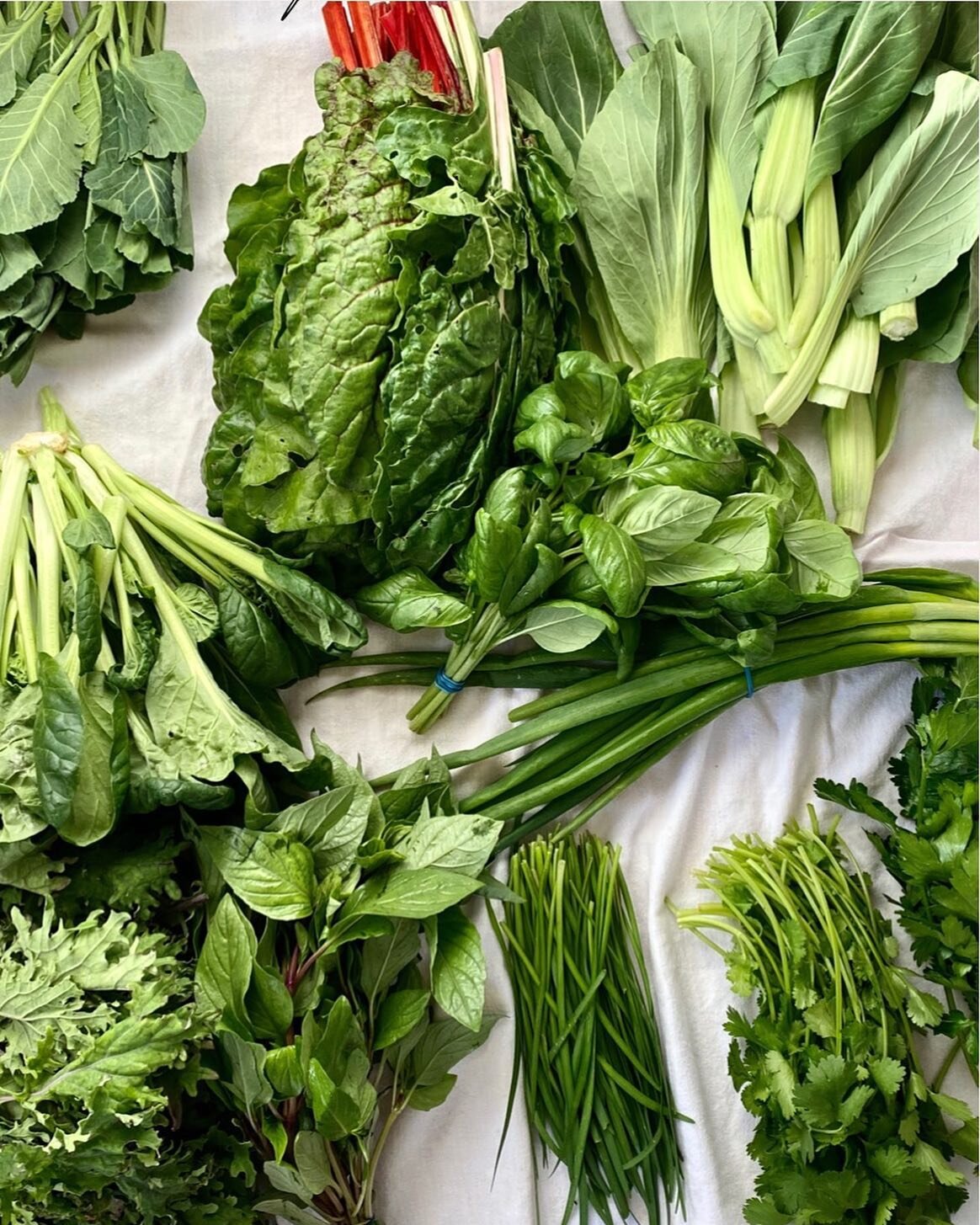 Some #farmersmarket greens to balance out all the carbs I&rsquo;ve been consuming. 😬 Next up... bread, bagels, and maybe pasta. 👩🏻&zwj;🍳🍞🥯🍝 &mdash;

A few people asked if we&rsquo;ll eat all of these greens (👩🏻🧑🏻👧🏻👵🏼).. and the answer 