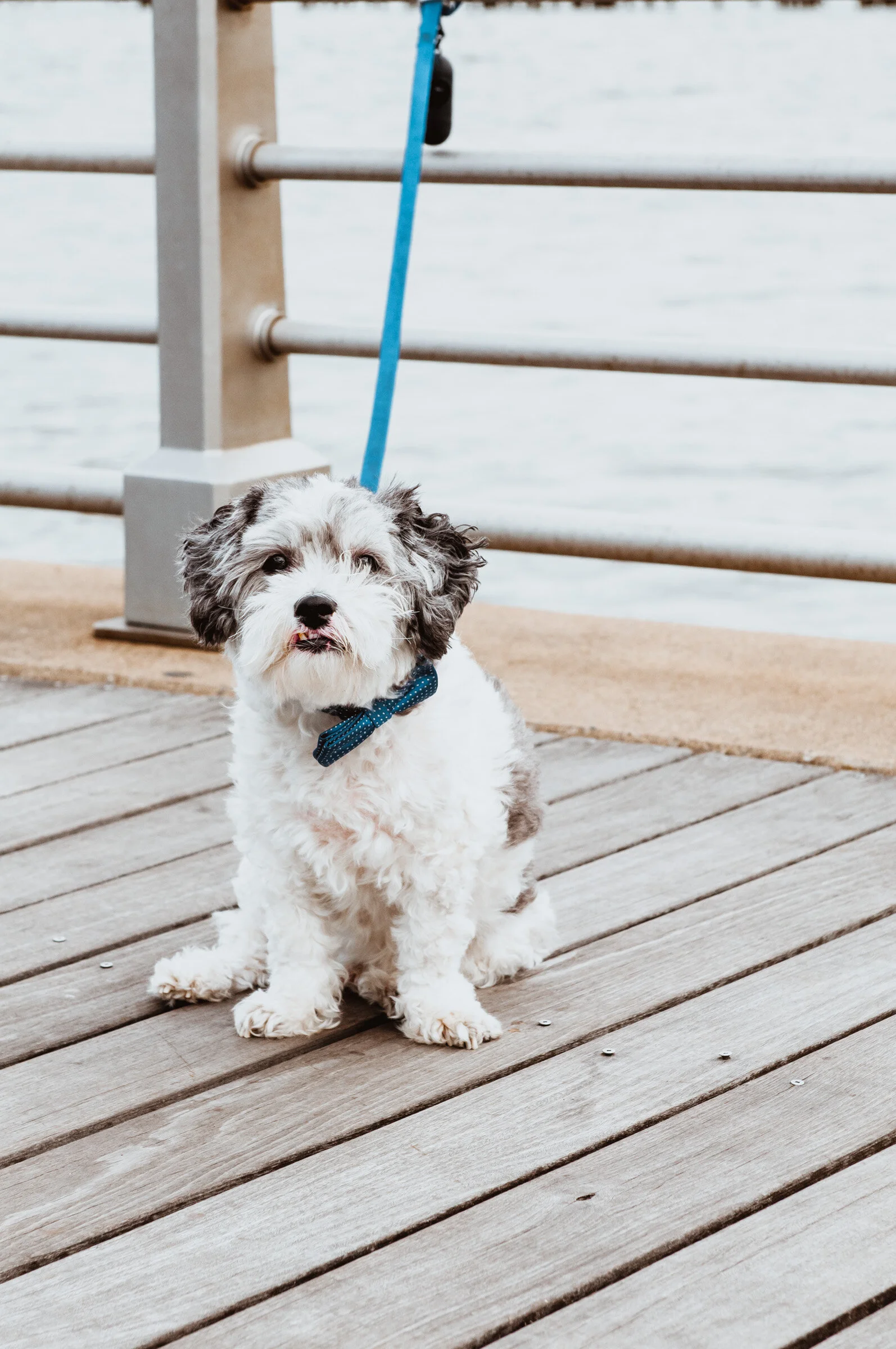 John & Meg_409_2017.JPG