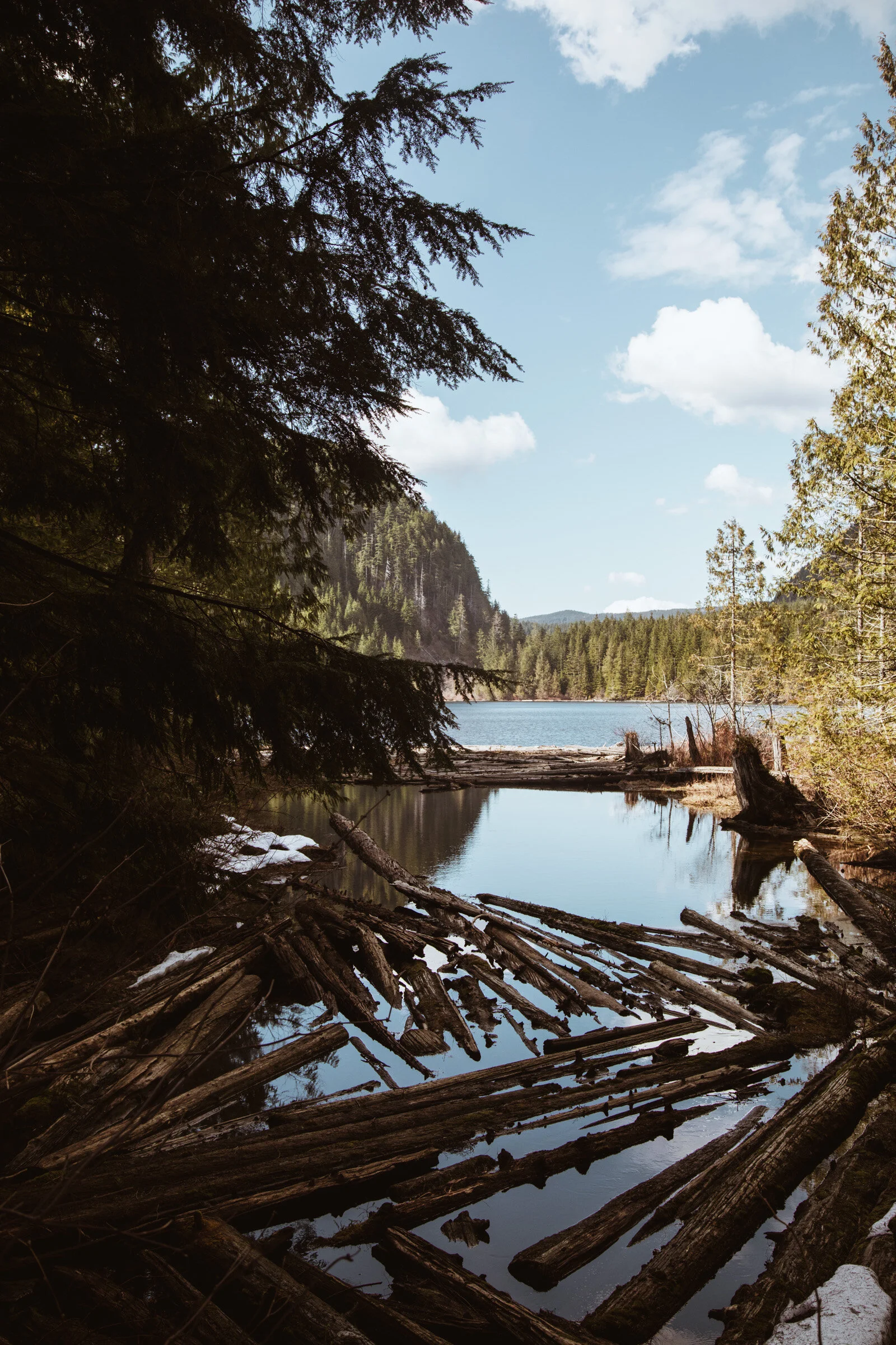 Wallace Lake_1124.JPG