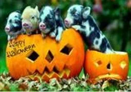 Halloween Trick or Treat Indoors