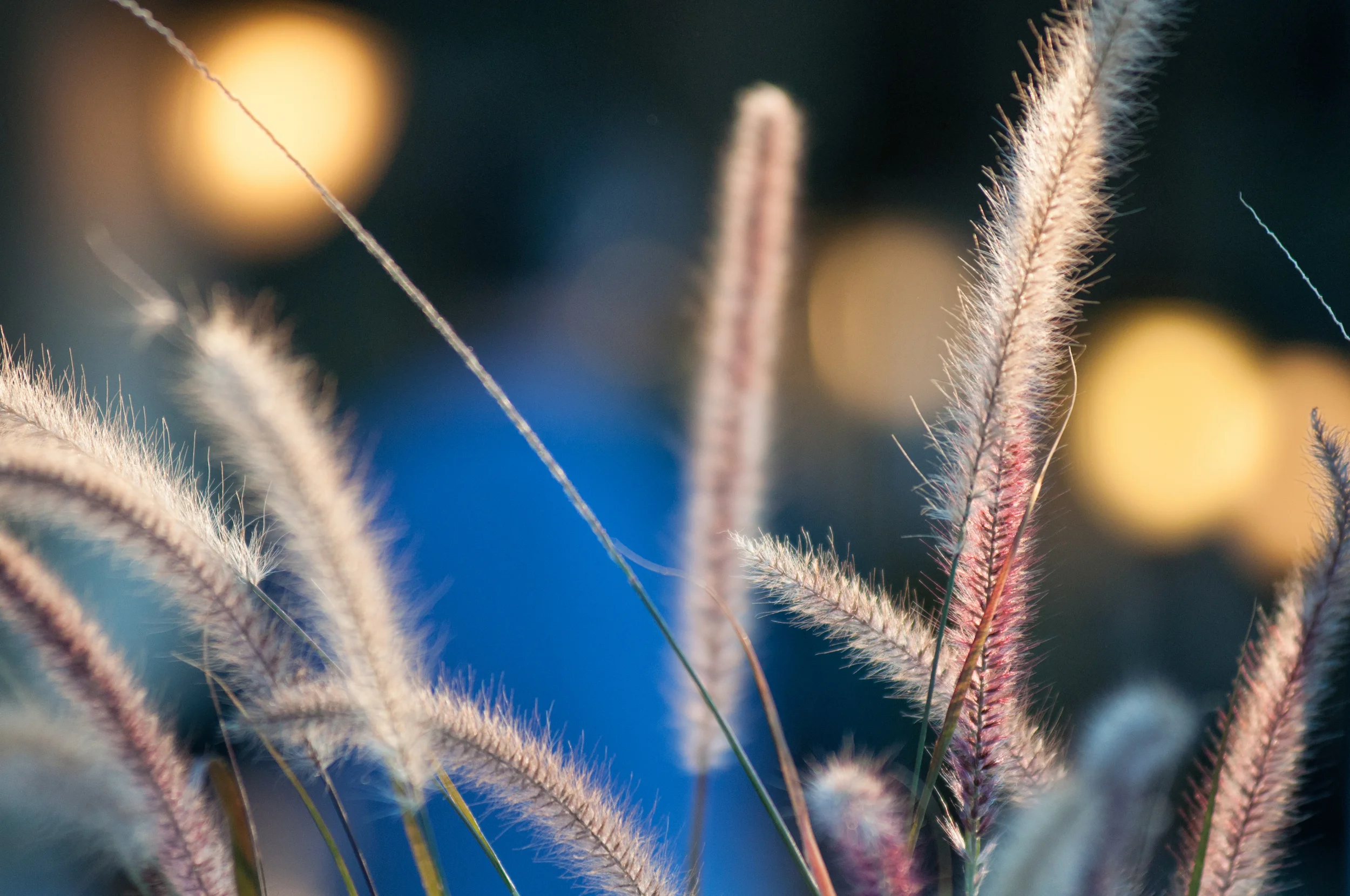 DSC_0179-Edit.jpg