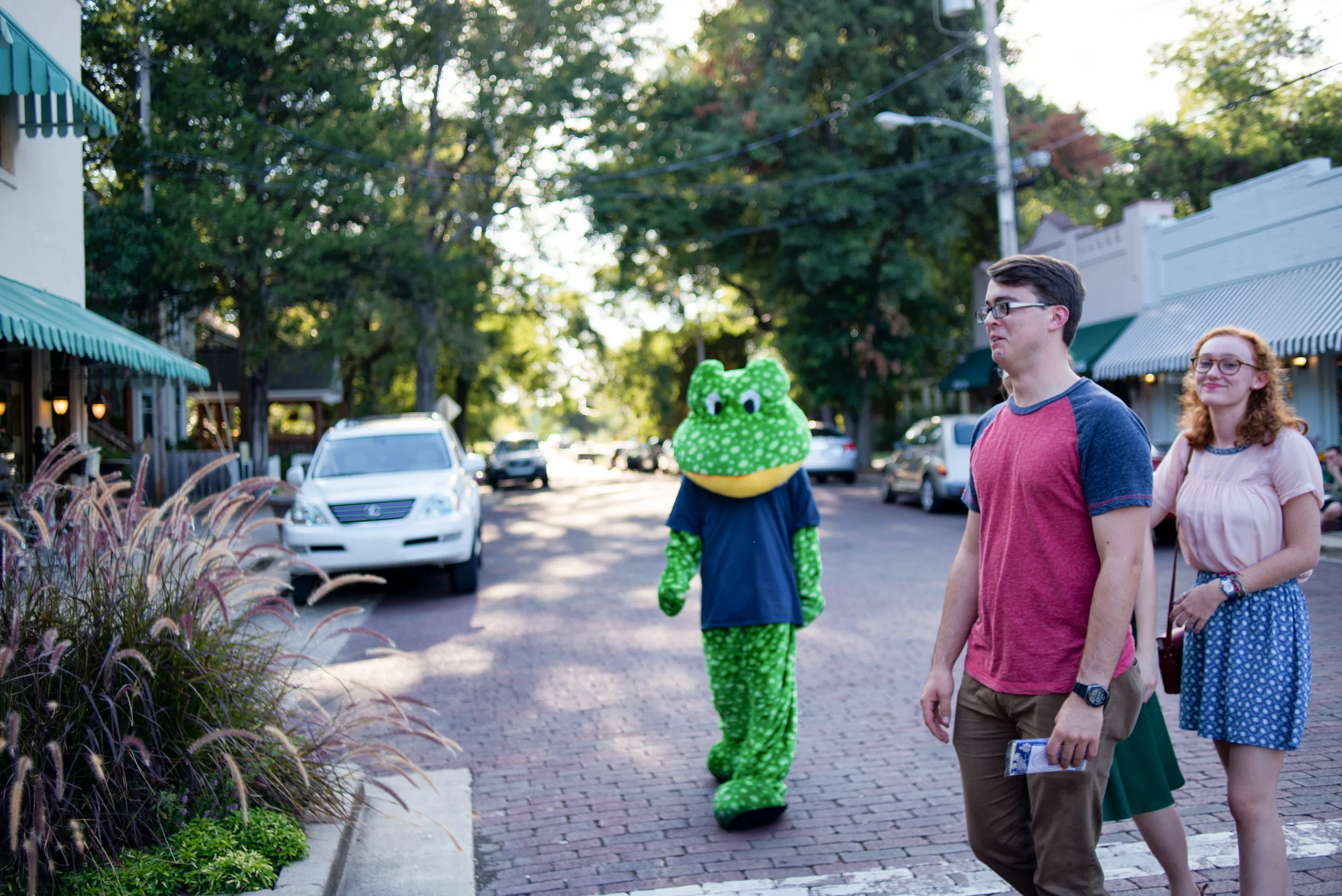 DSC_3247-Edit.jpg
