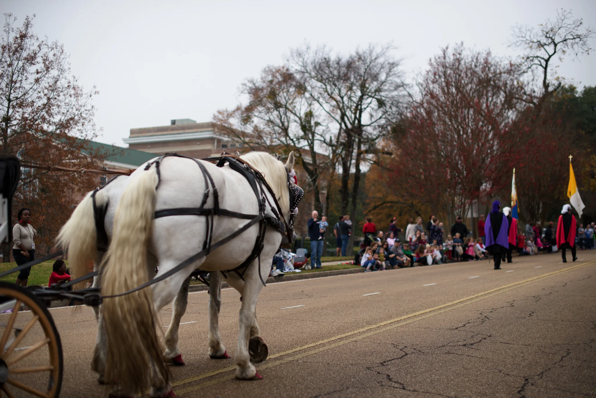 untitled (40 of 1229)-Edit.jpg