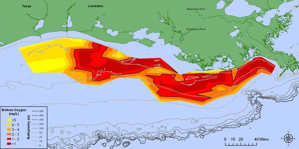 Gulf of Mexico Dead Zone - (Source: Nancy N Rabalais, LUMCON, and R. Eugene Turner, LSU)