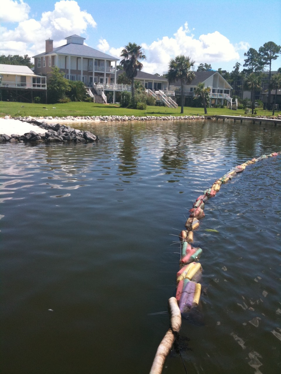 This is a picture of the hair booms in use after the BP oil spills to contain the oil and prevent contamination