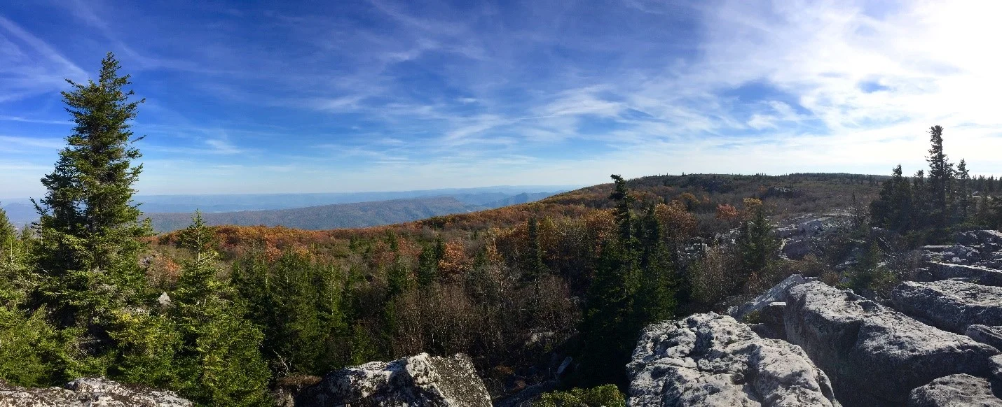 Dolly Sods, West Virginia- Hannah Daniels