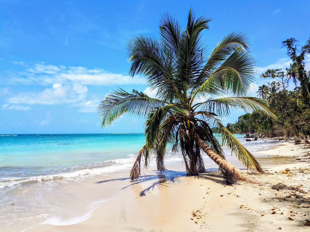 Cahuita National Park