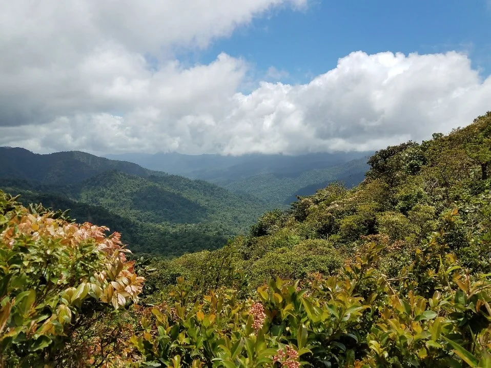 Continental Divide, Cloud Forest Reserve