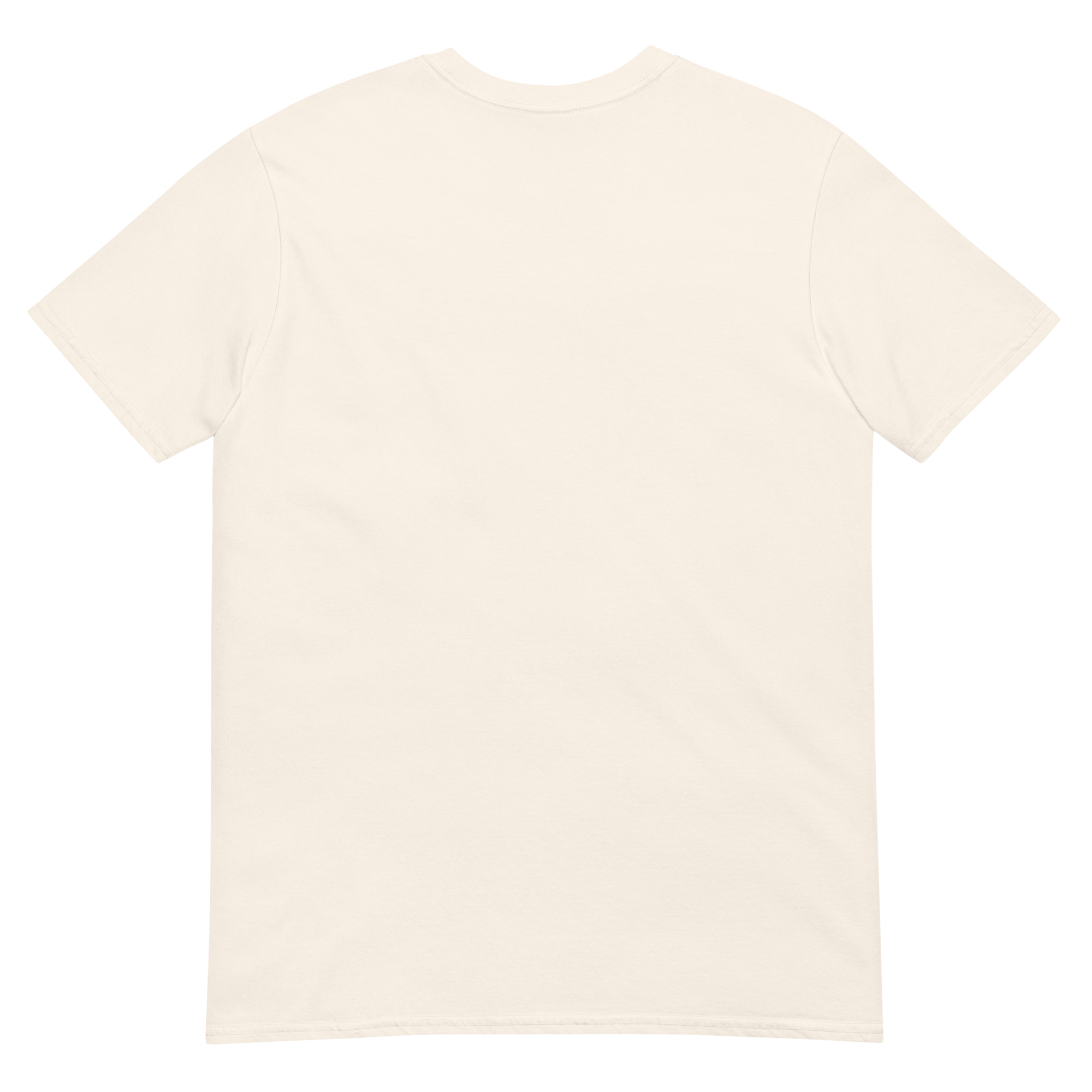 unisex-basic-softstyle-t-shirt-natural-back-68cf396d19a0e.png