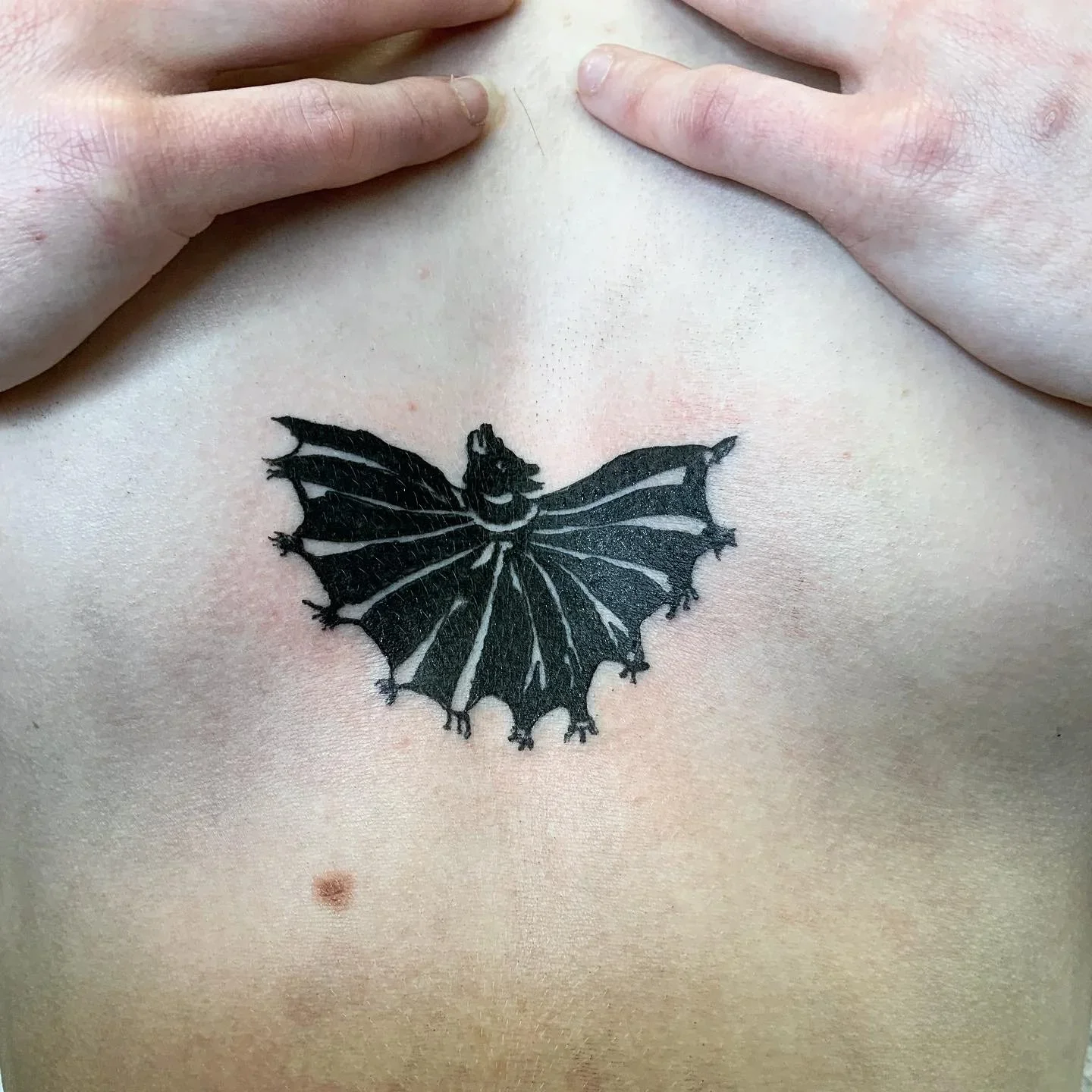 bat in The Art of Falconary