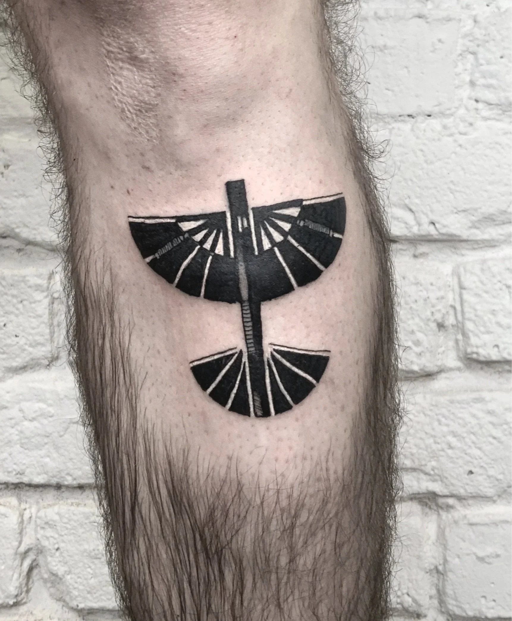  The Last Airbender