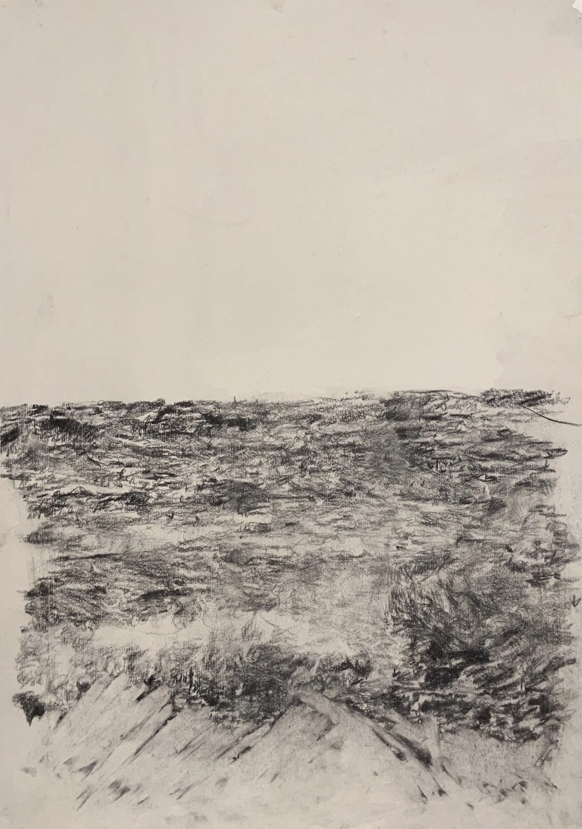 Seeing Through the Charcoal