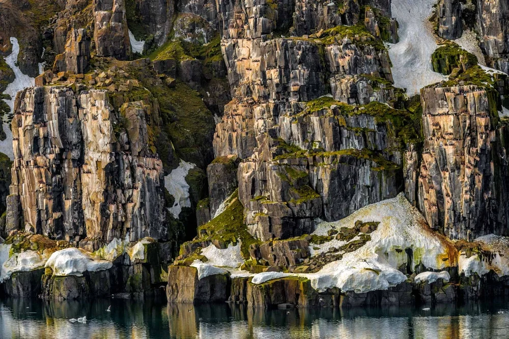 Bird-Cliffs-of-Svalbard.jpg