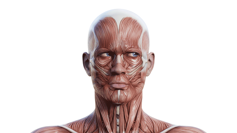 WHY I LOVE THE UNCANNY VALLEY