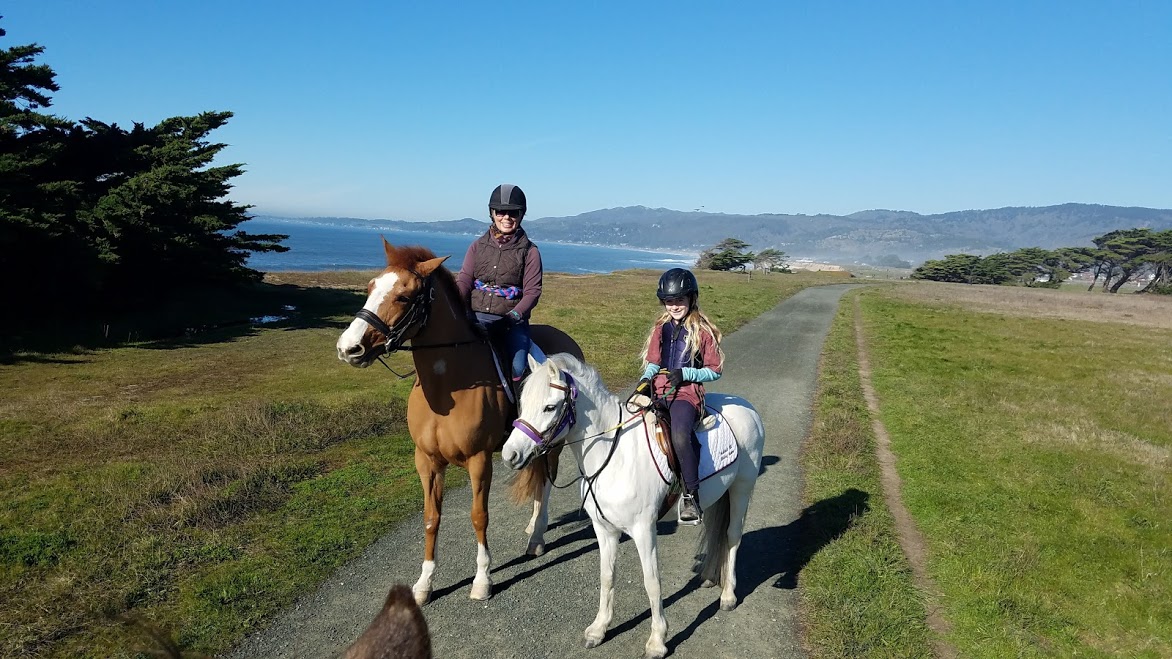 ponies at beach 2 .jpg