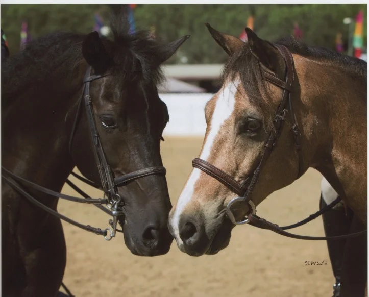 Tym Rhun Wide 72dpi.jpeg