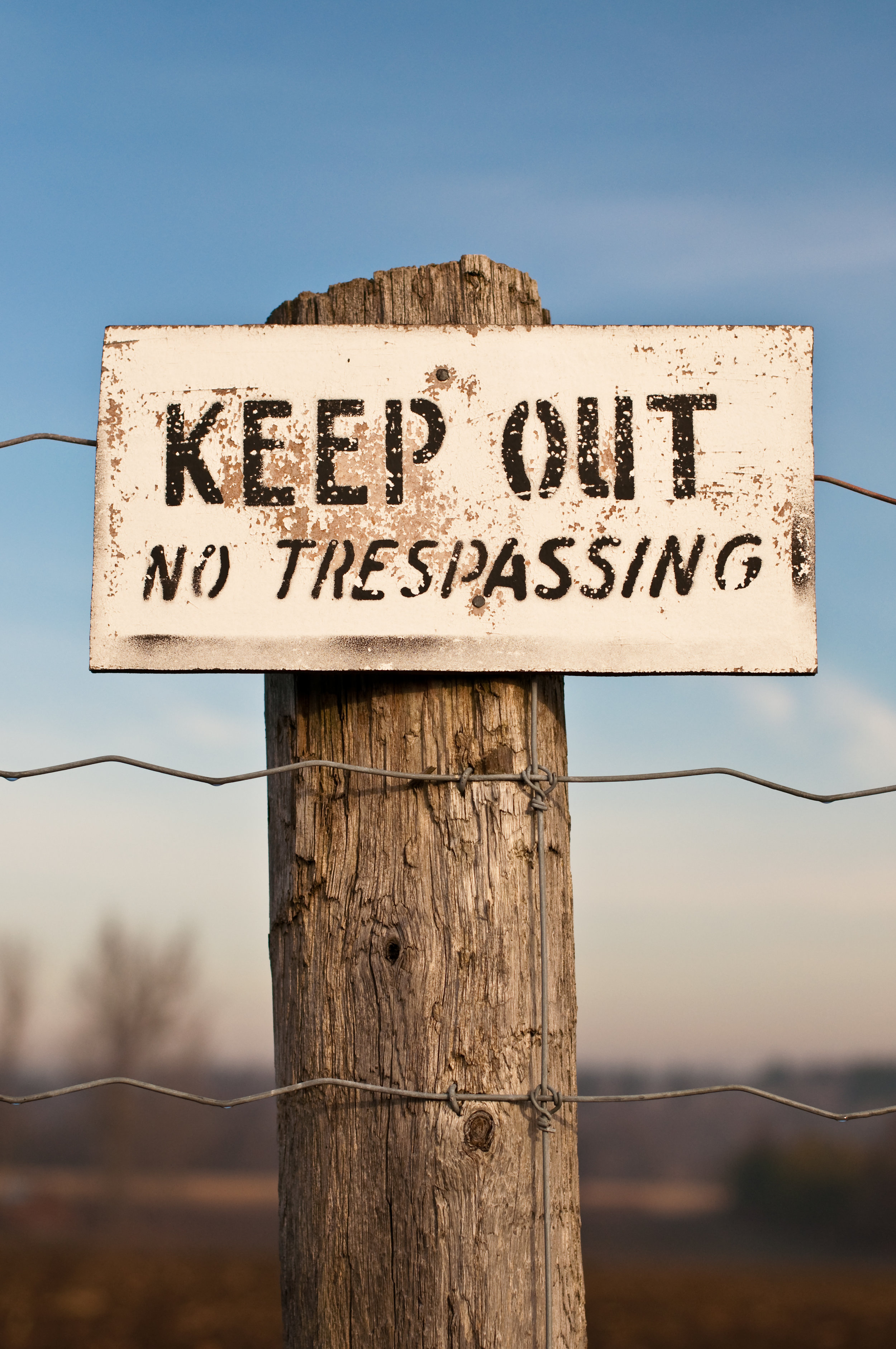 Photo by BrianGuest/iStock / Getty Images