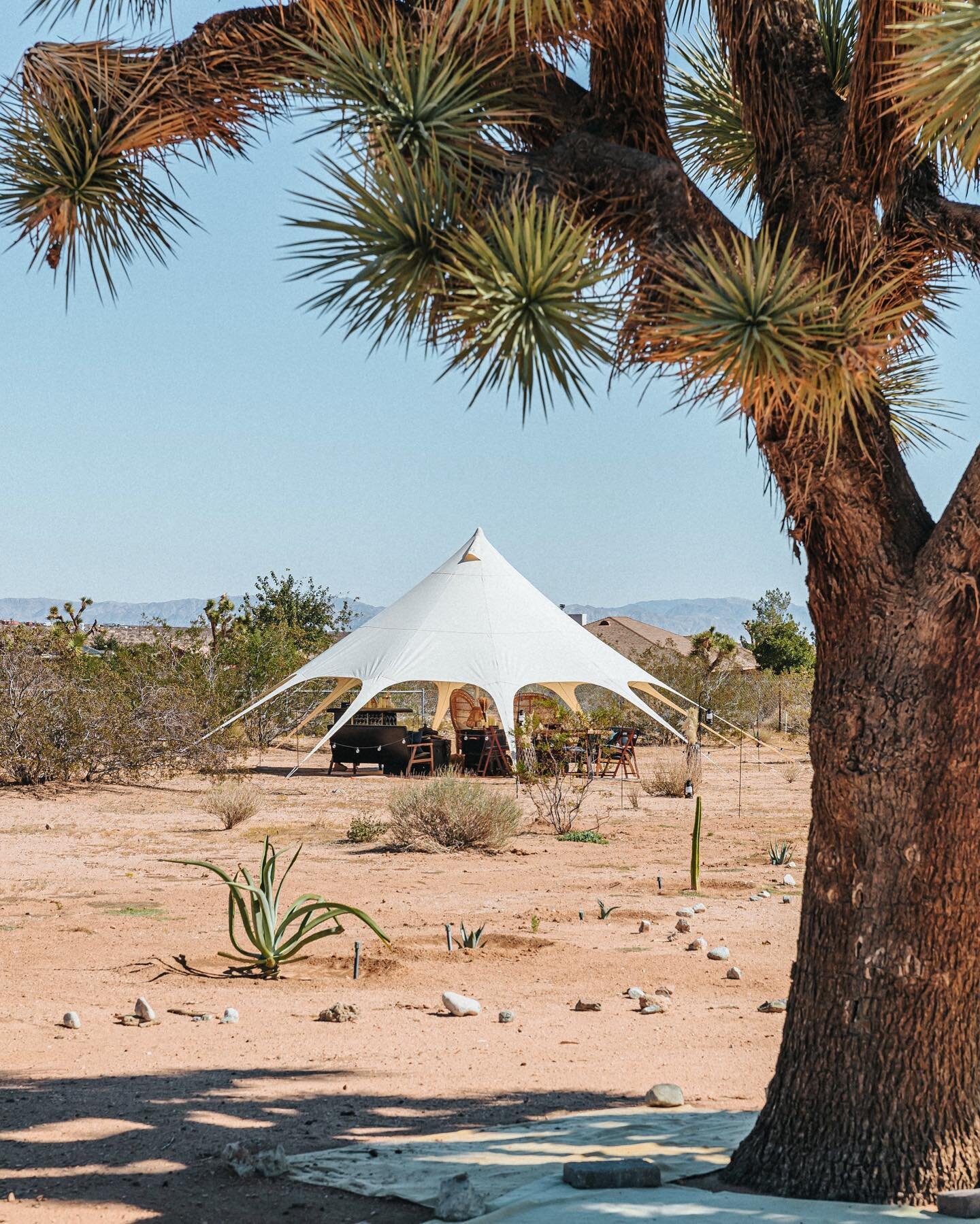 Gotta love Southern California for its four-season tent weather 🌵Pitched our floating boho party tent amongst the Joshua trees and heard it asking for a photoshoot. We love bringing this large format tent out to build our clients&rsquo; lounges, din
