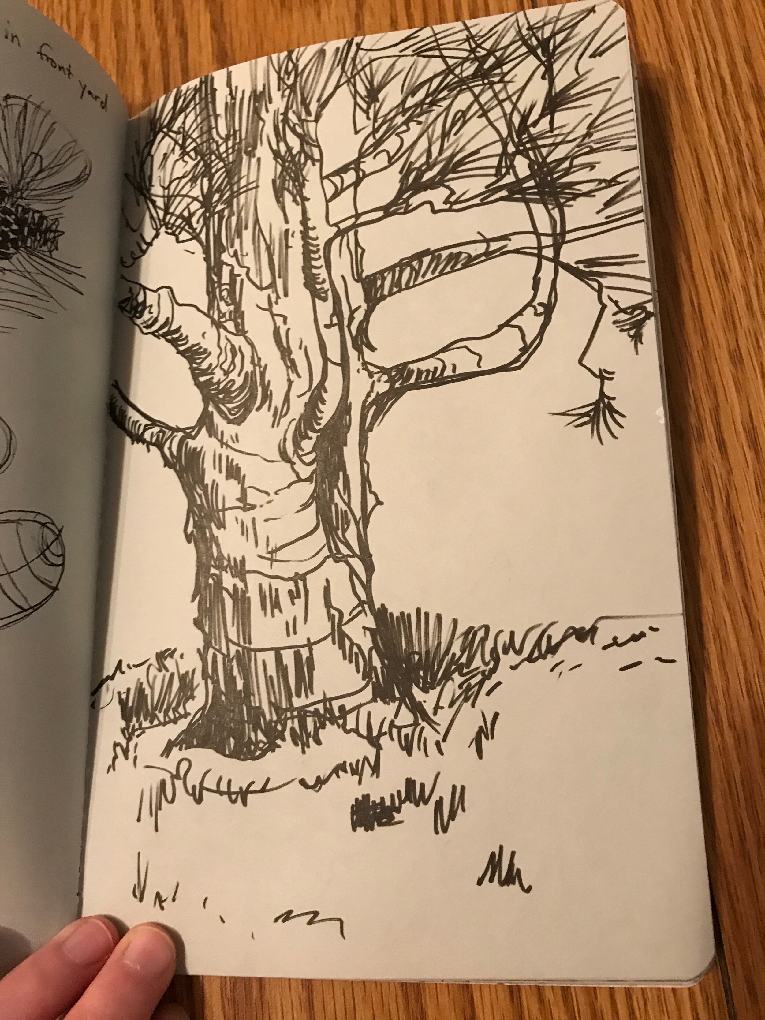 Sketchbook Tour: Foliage — Britny Arnett