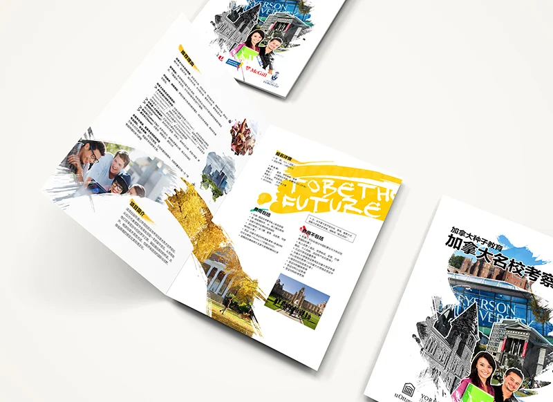 Summer camp brochure design