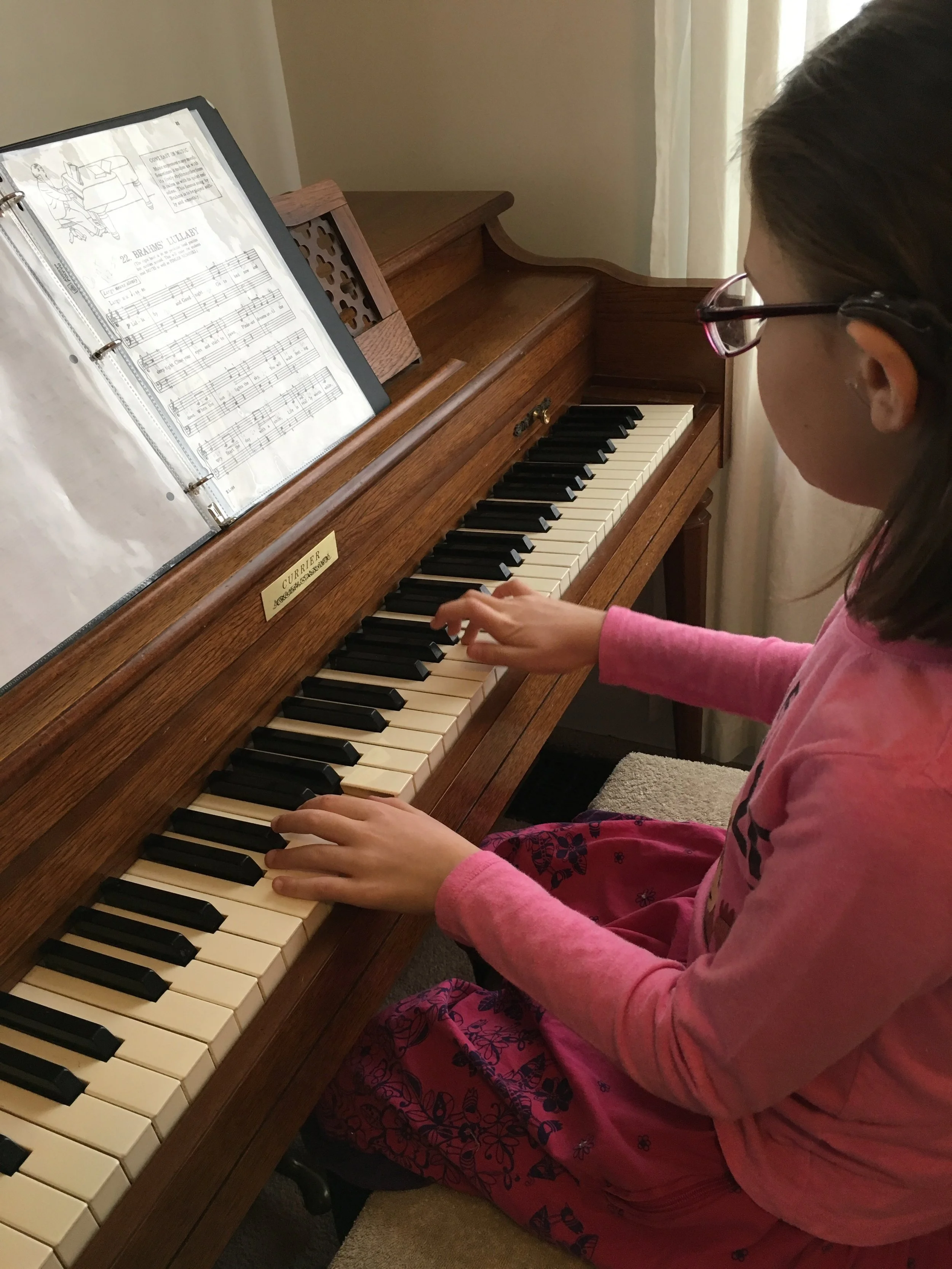 Piano Donation Program — Erie Philharmonic