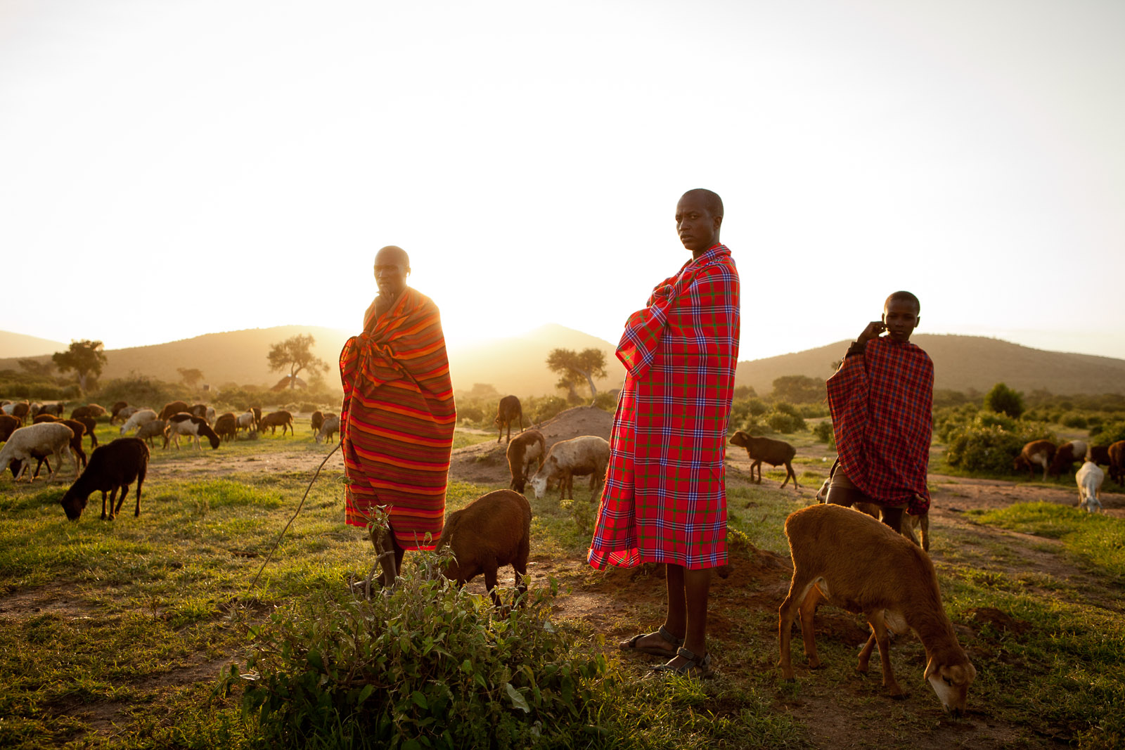 Maasai Mara National Reserve, Kenya