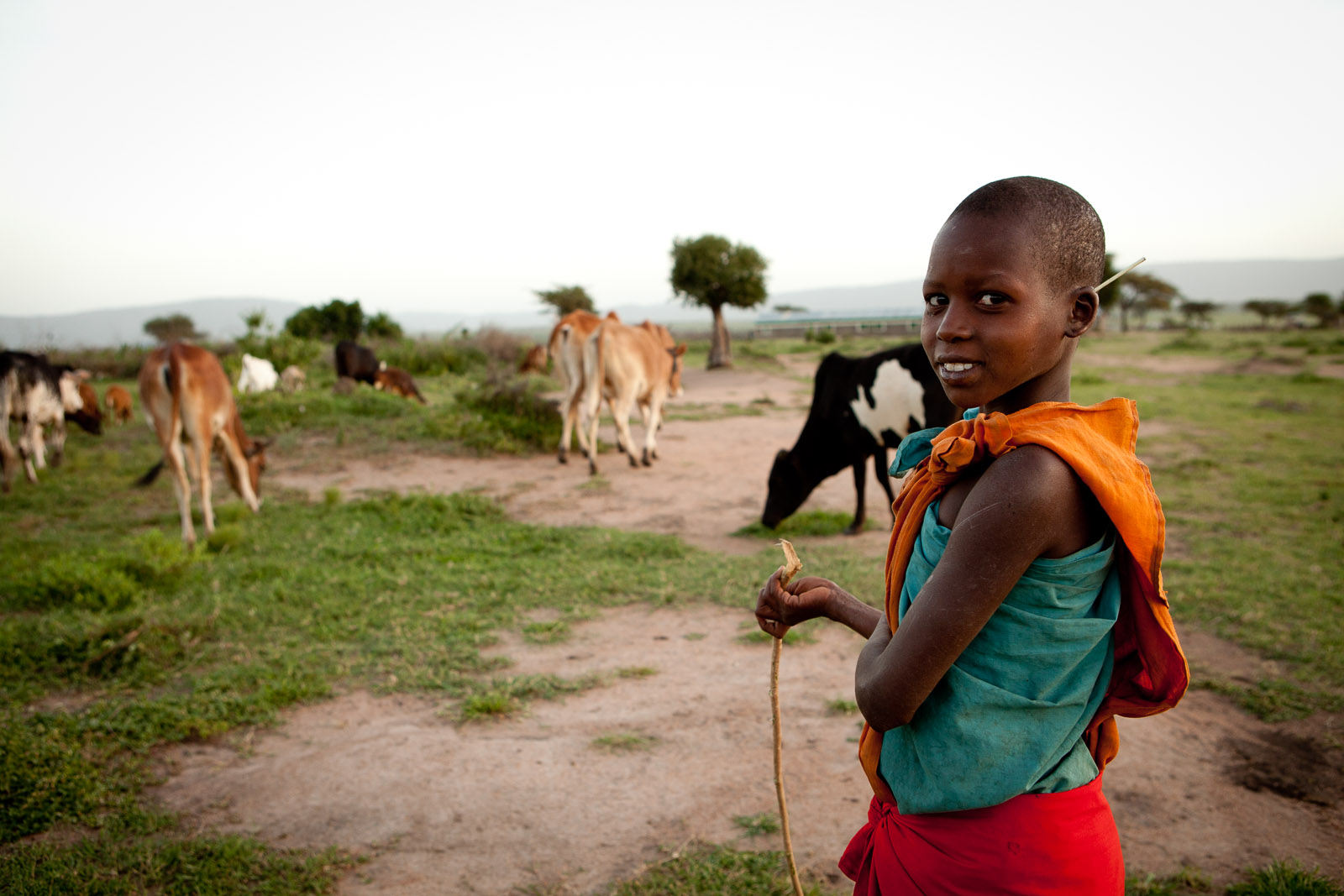 Maasai Mara National Reserve, Kenya