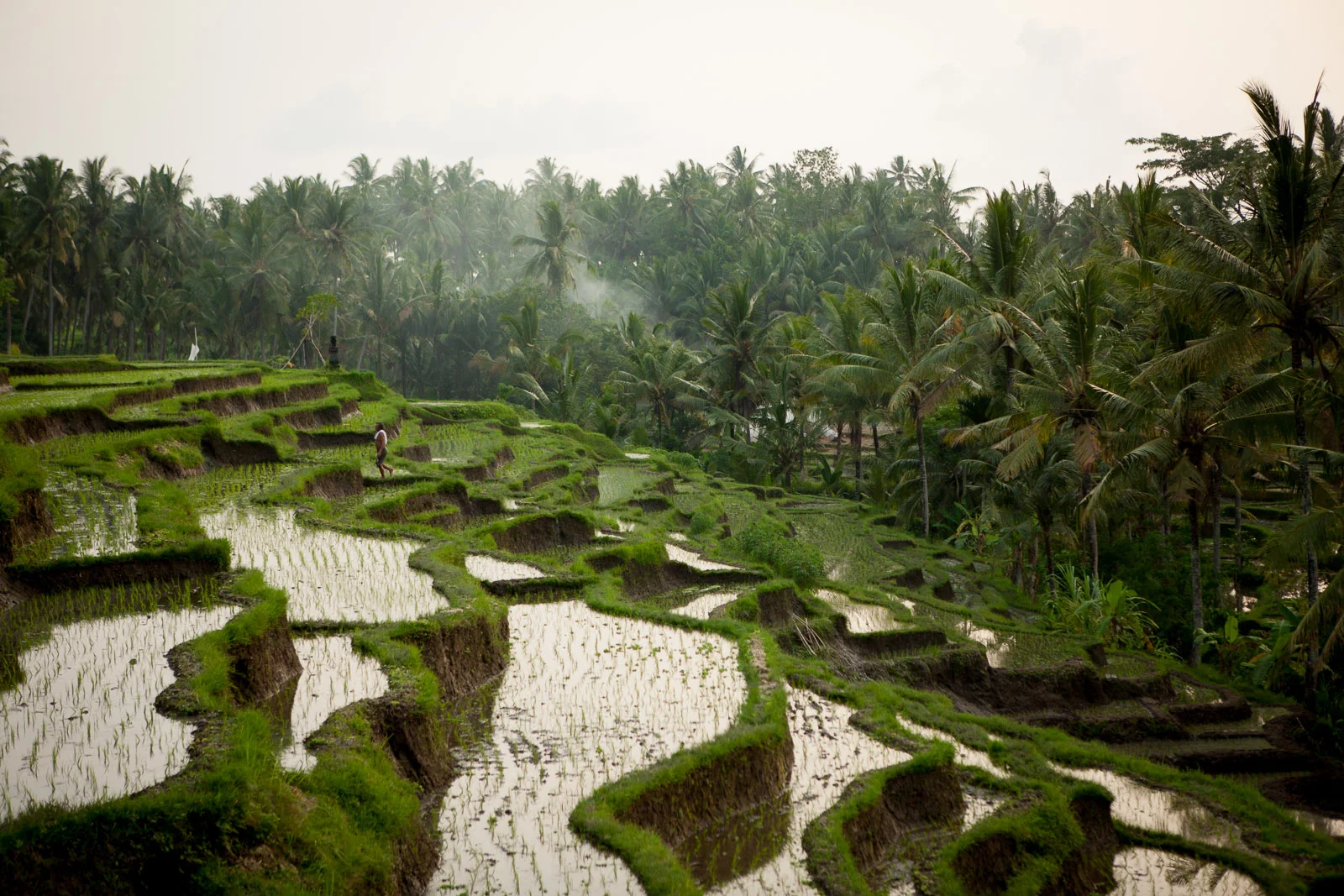 Soulshine, Bali, Indonesia