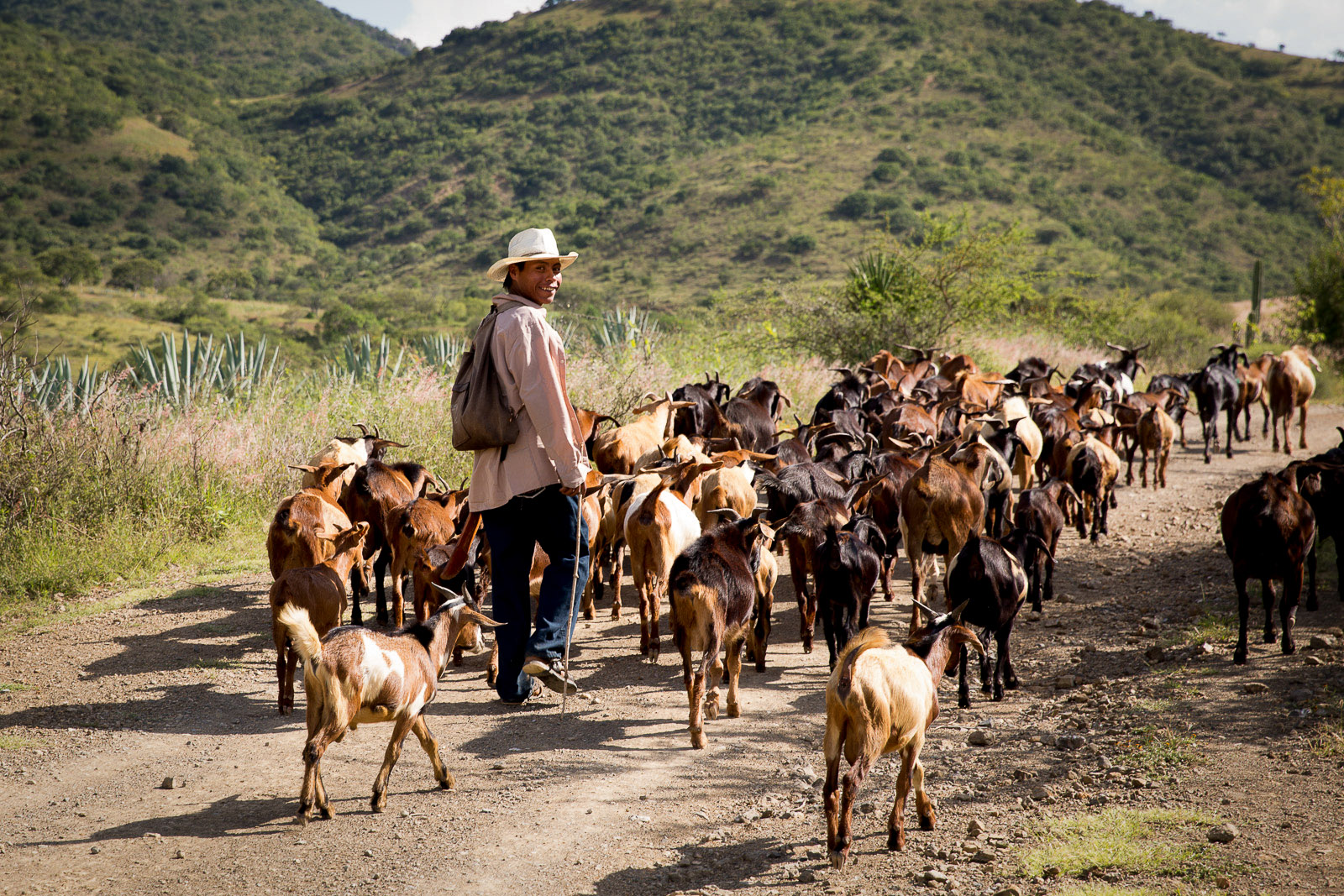 Goat Herder, San Baltazar, Oaxaca, Mexico