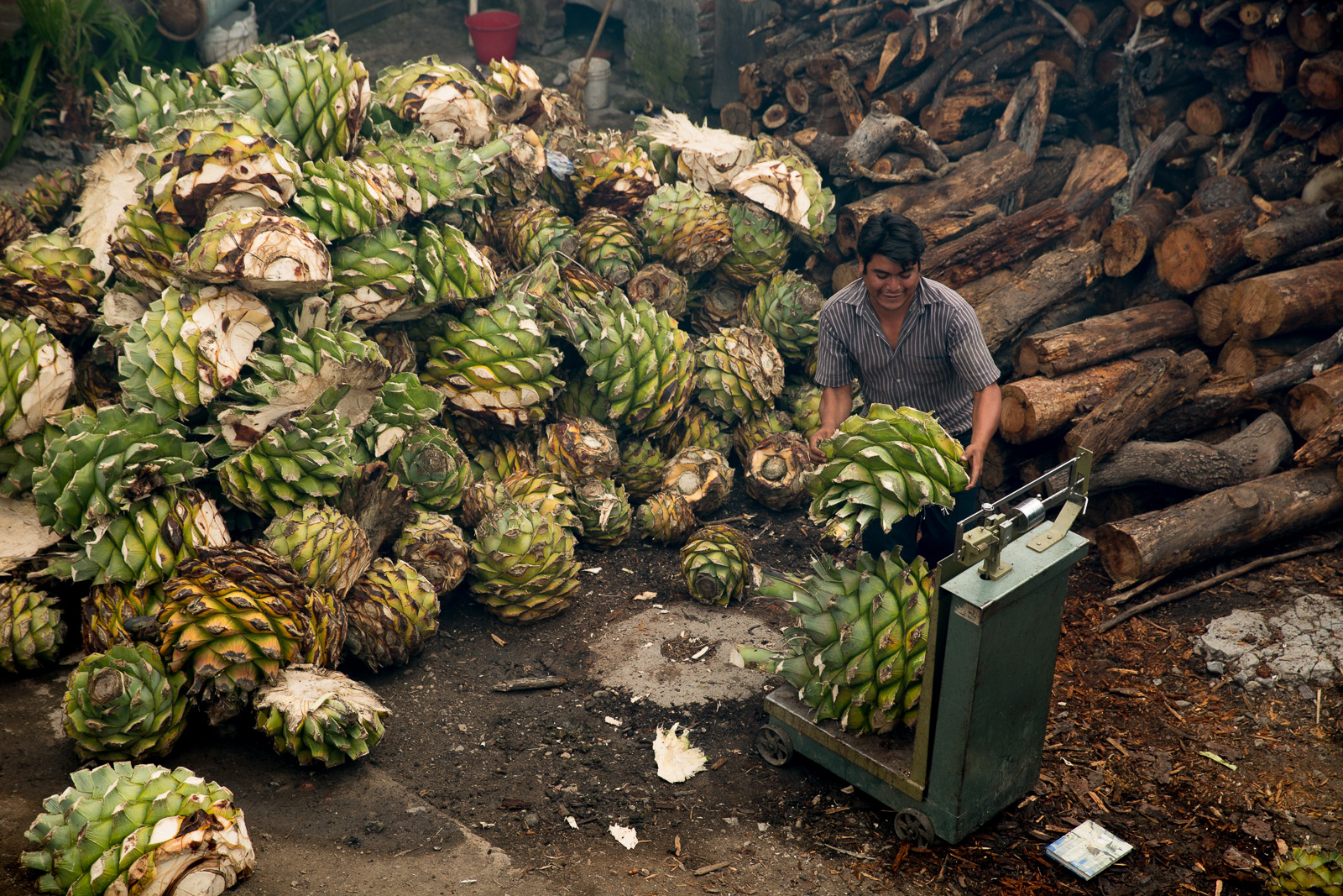 Making Mezcal, San Baltazar, Oaxaca, Mexico