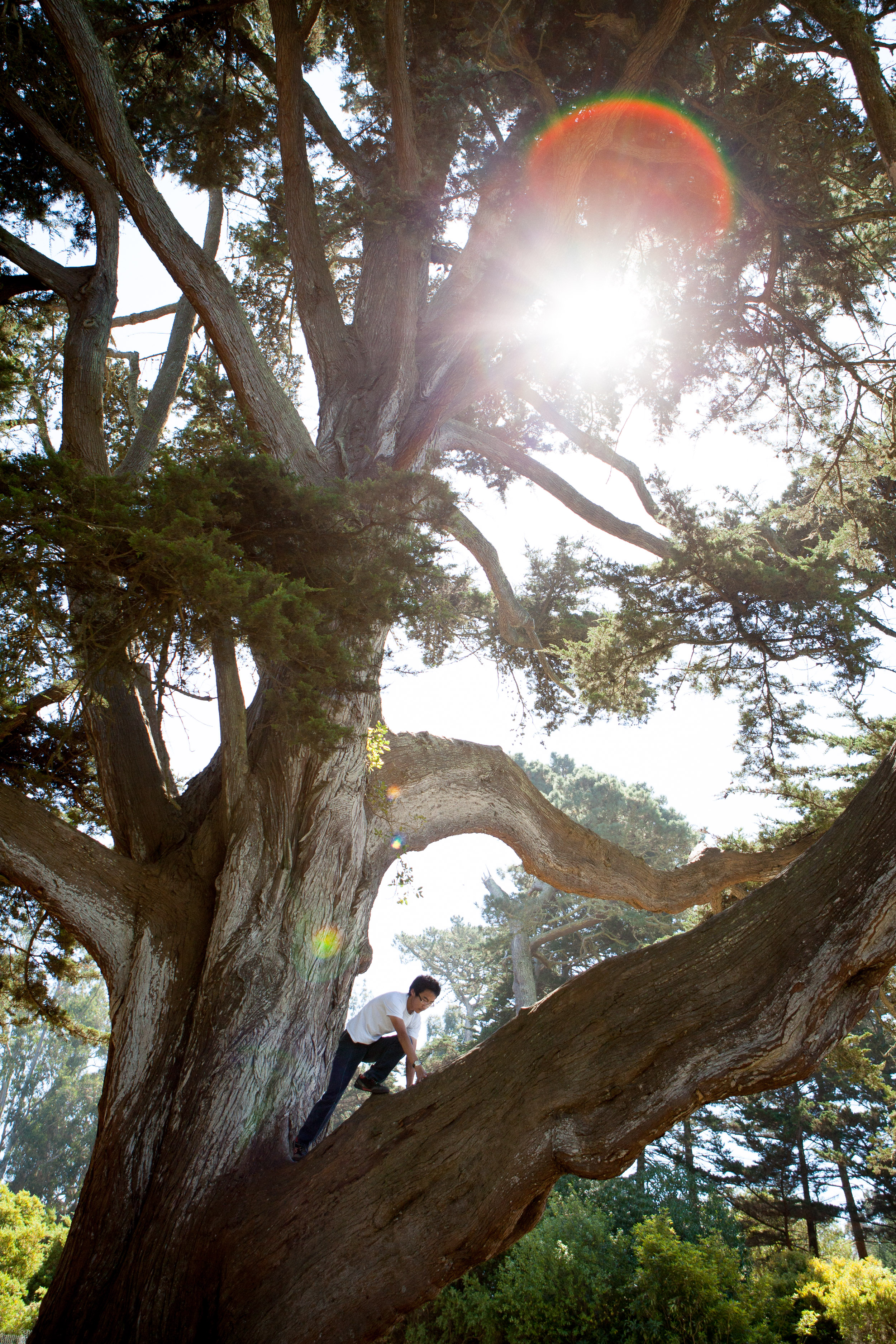 Golden Gate Park, San Francisco, California