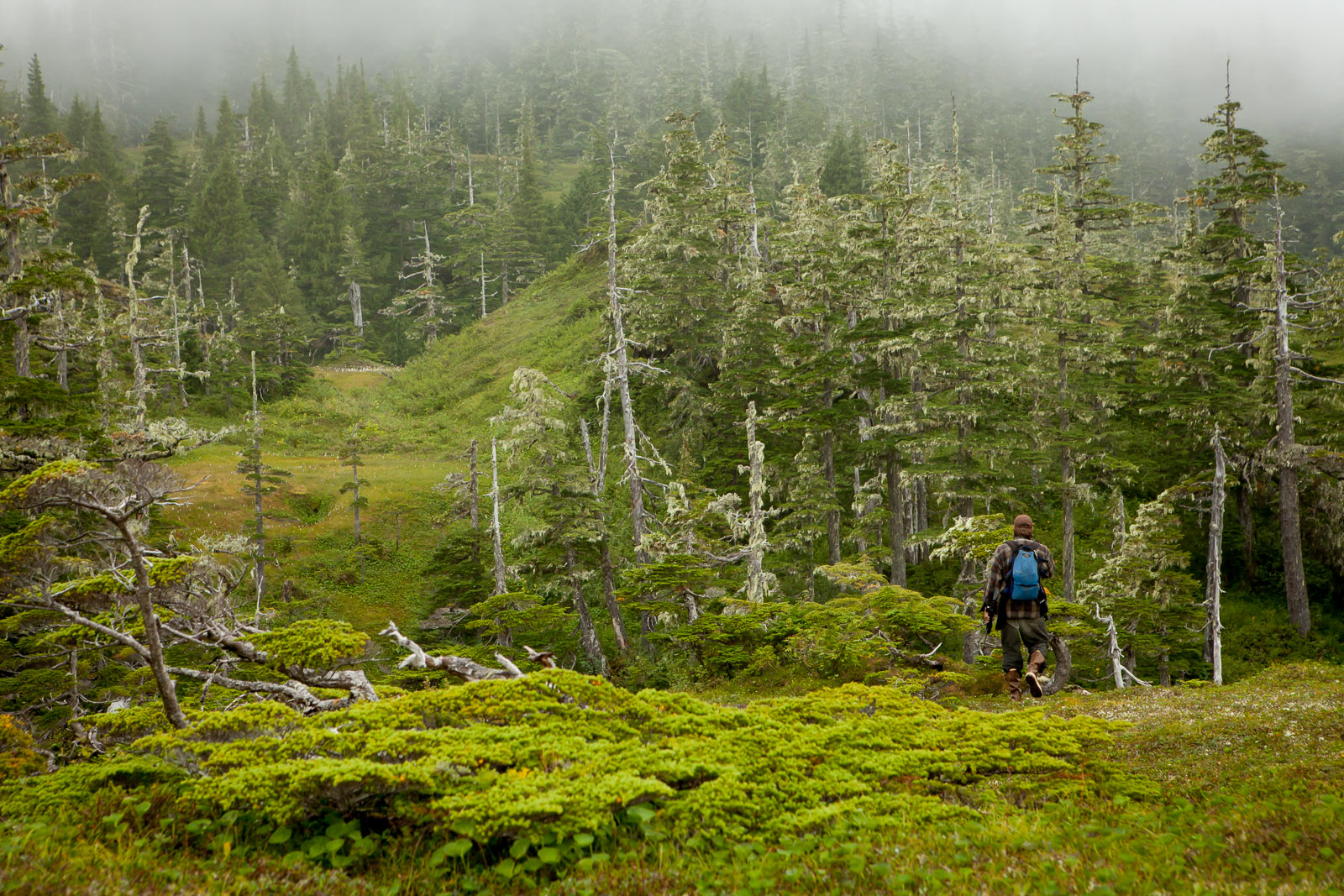 Cordova, Alaska