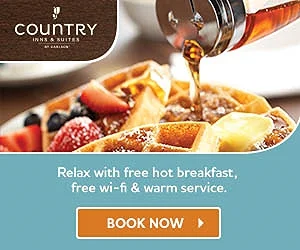 300 x 250 Banner Ad (Copy)