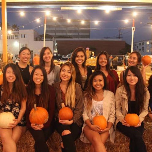 Pumpkin Patch