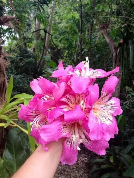 flower.jpg