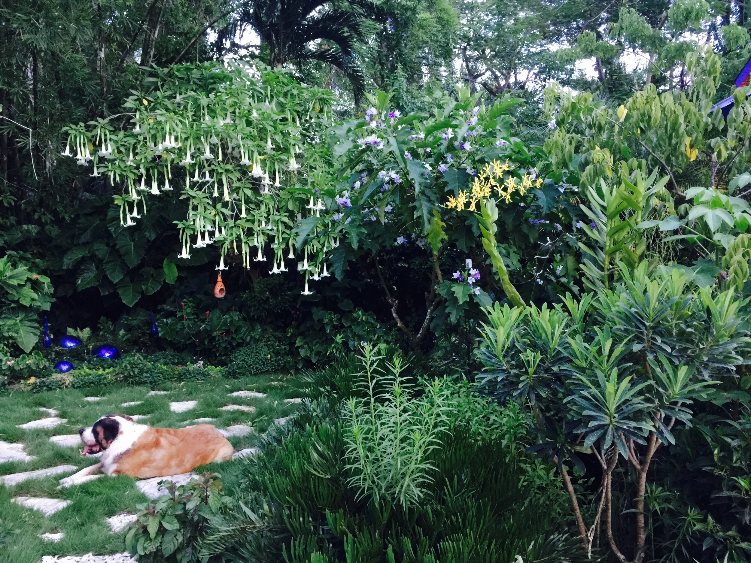 Nola in Garden .jpg