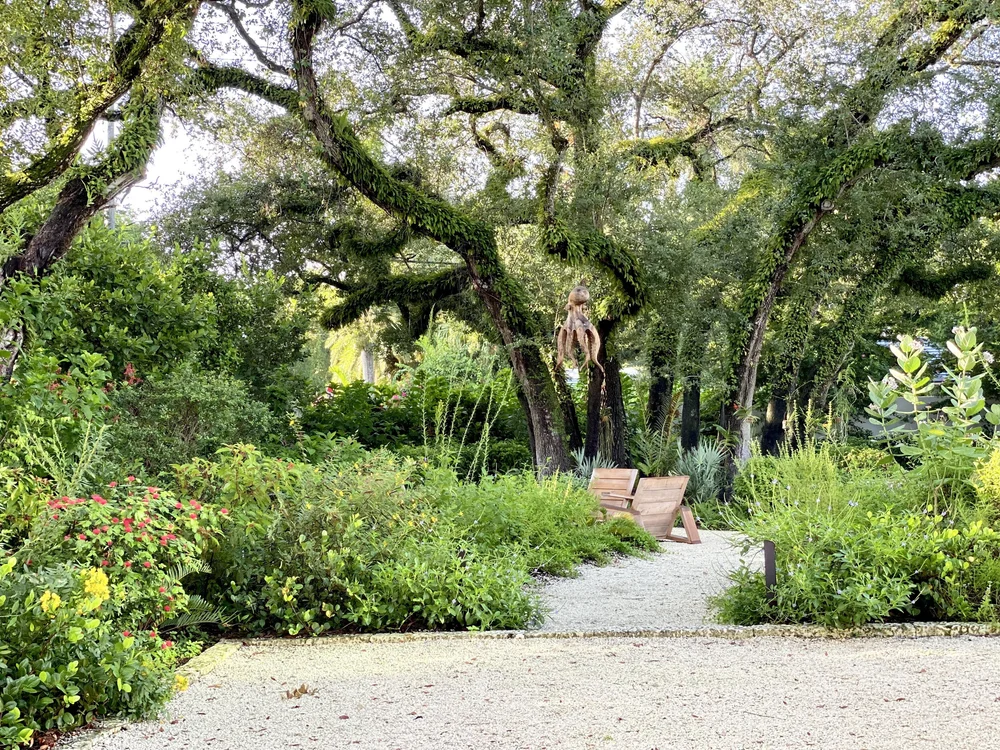 Vanguardia Sub-Tropical — La Casona Garden