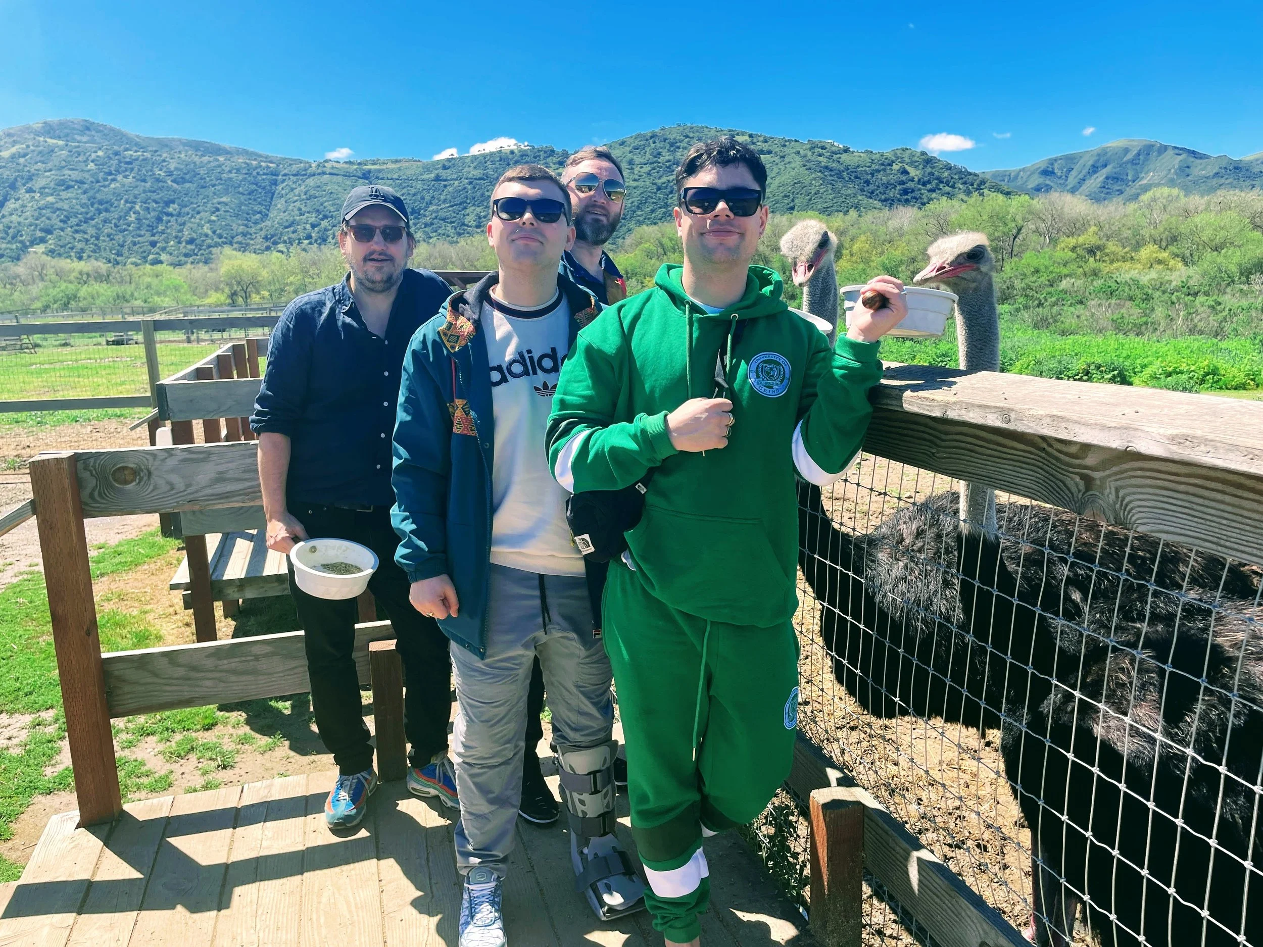 Better ostriches - fixed.jpg