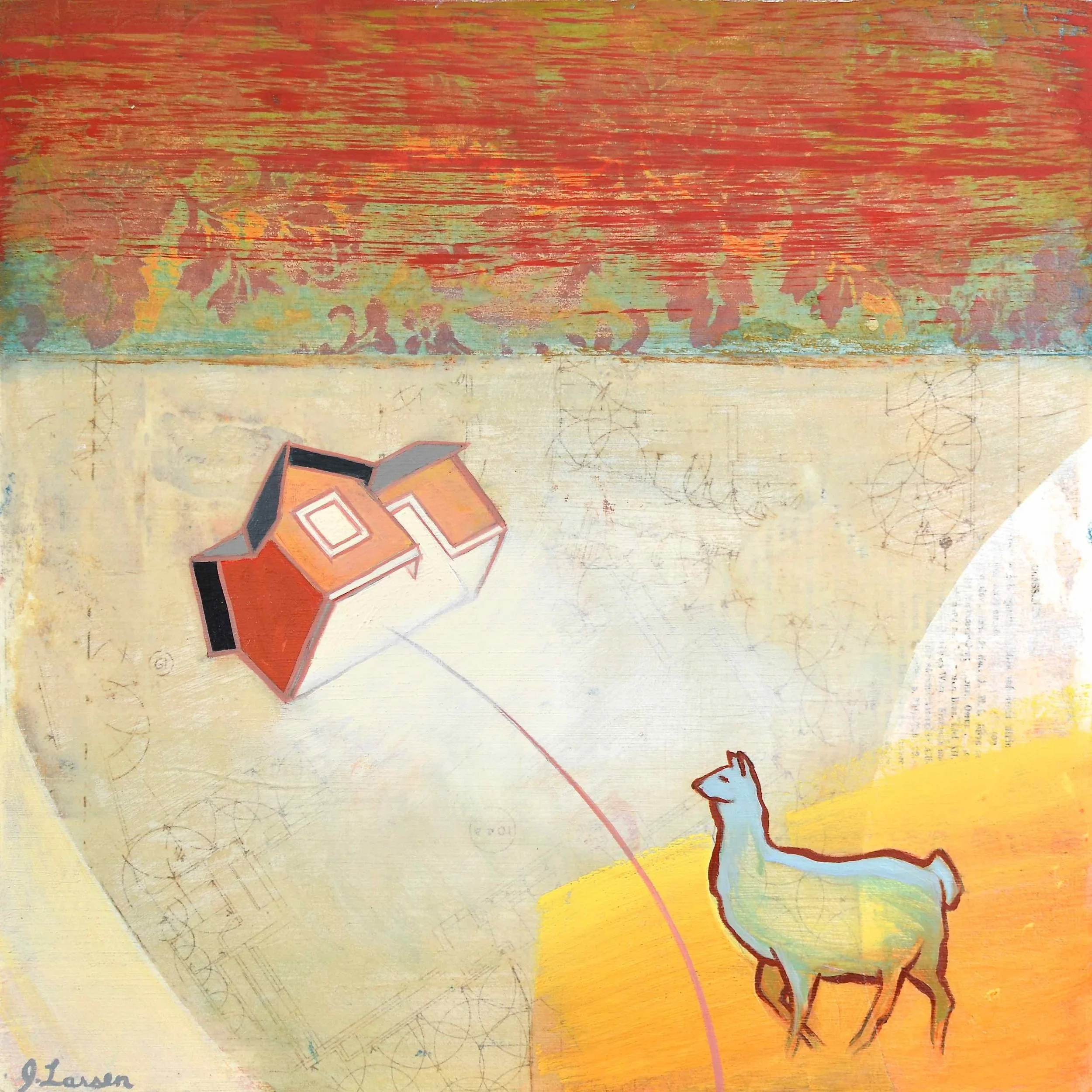 llama, unfazed