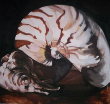 LargeSeashell.jpg
