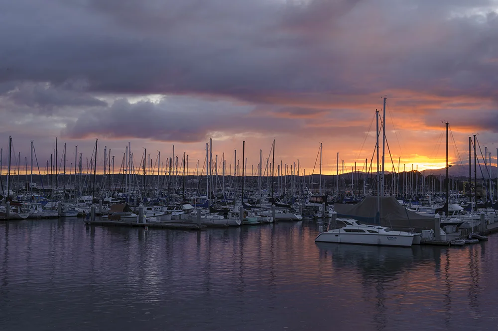 Photo Courtesy of SeeMonterey.com