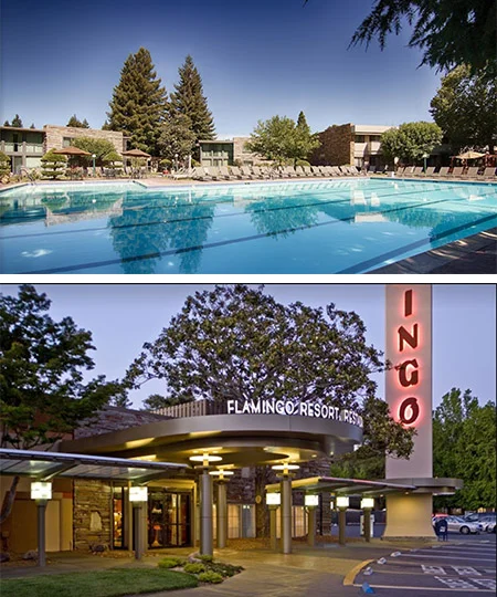 swank retro place to stay and have meetings and events in somona