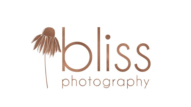 Bliss Photography Rochester MN Newborn and Family Photographer